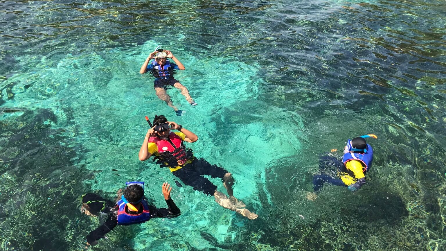 Capture the vibrant beauty beneath the surface